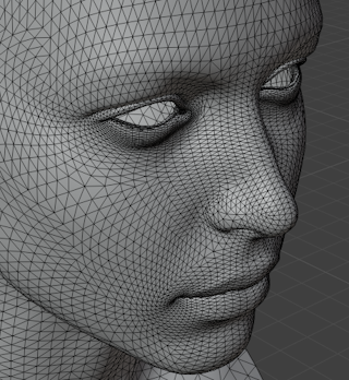 ../../../../_images/modeling_meshes_editing_face_triangles-quads_before.png